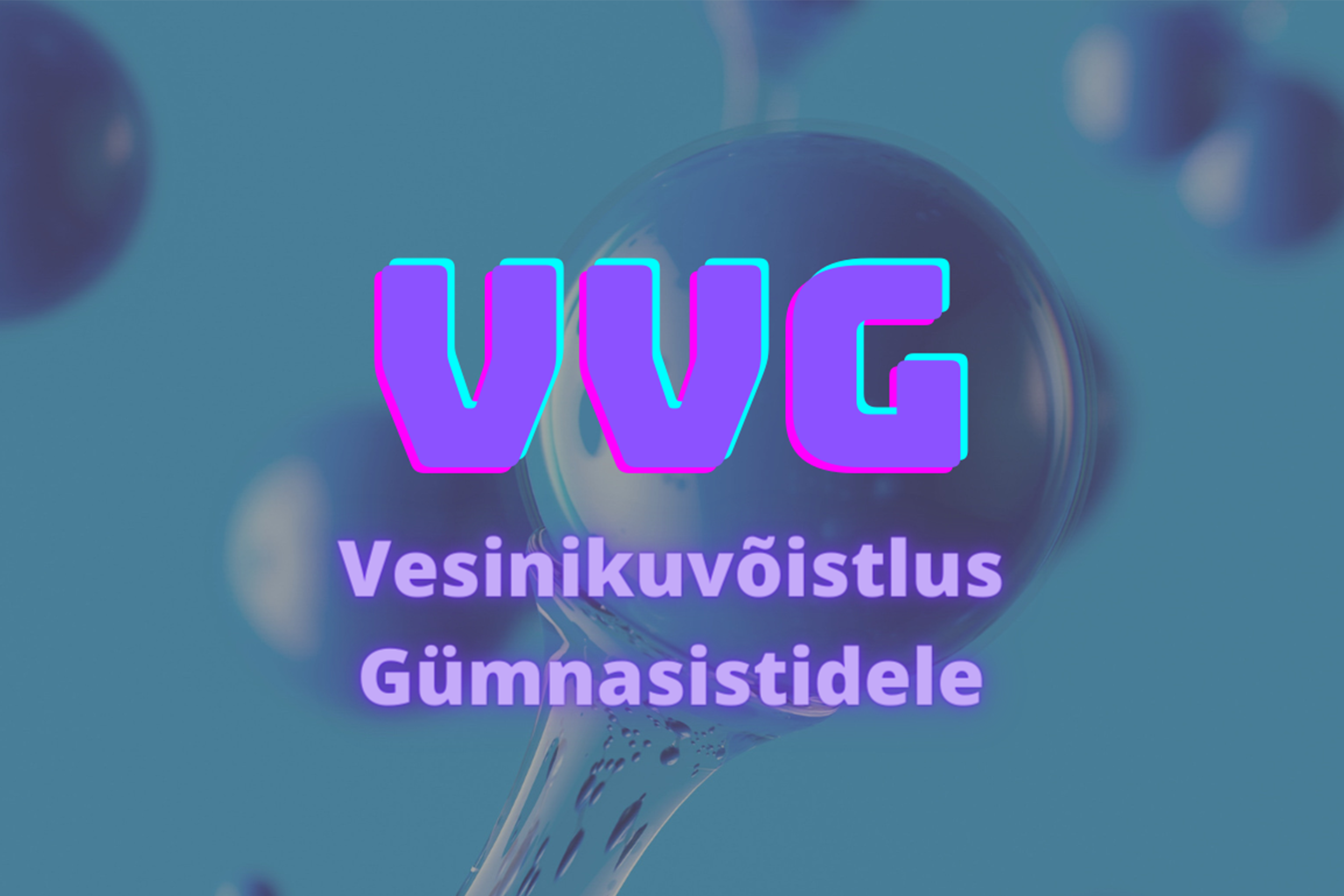 foto2